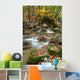 Autumn Stream Wall Decal