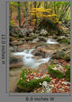 Autumn Stream Wall Decal