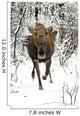 Moose Wall Decal