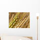 Wheat Straws Wall Decal