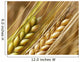 Wheat Straws Wall Decal