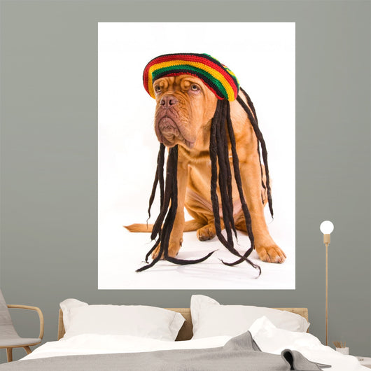 Rastafarian Hat Dog Wall Decal