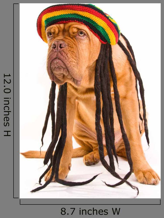 Rastafarian Hat Dog Wall Decal