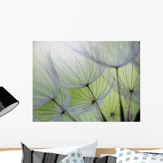 Dandelion Seed Wall Decal