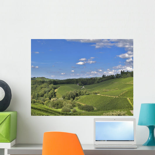 Schwarzwald Hilly Landscape Wall Decal