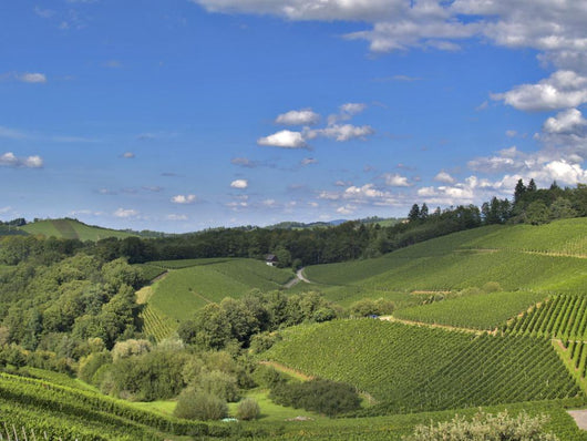 Schwarzwald Hilly Landscape Wall Decal