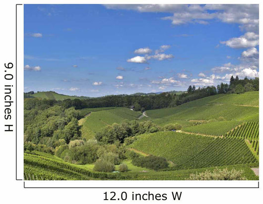 Schwarzwald Hilly Landscape Wall Decal