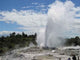 Pohutu-Geysir Wall Decal