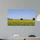 Sunflowers Field Background San Wall Decal