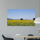 Sunflowers Field Background San Wall Decal