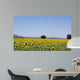 Sunflowers Field Background San Wall Decal