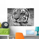 Eye Tiger Wall Decal