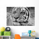 Eye Tiger Wall Decal