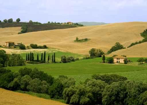 Tuscan Rolling Fields Wall Decal