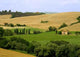 Tuscan Rolling Fields Wall Decal