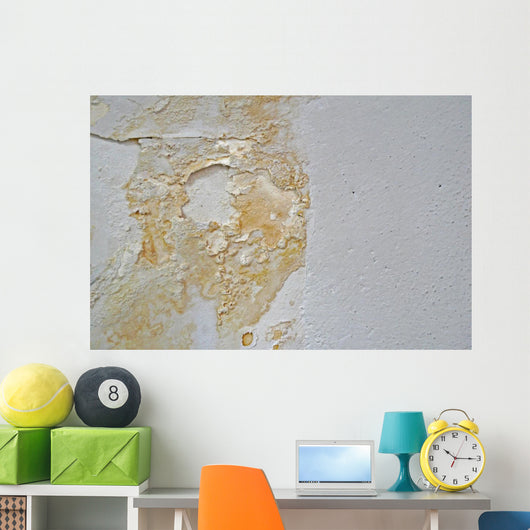 Water Damage Wall Decal