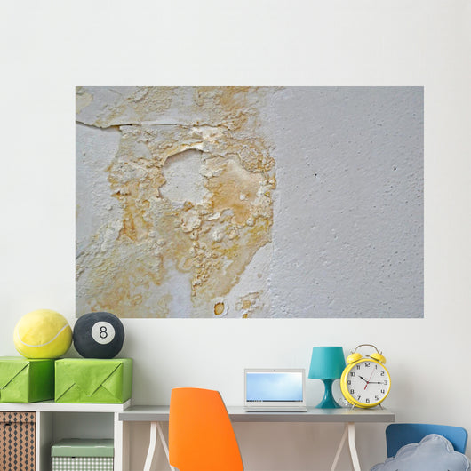 Water Damage Wall Decal