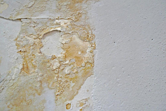 Water Damage Wall Decal