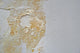 Water Damage Wall Decal