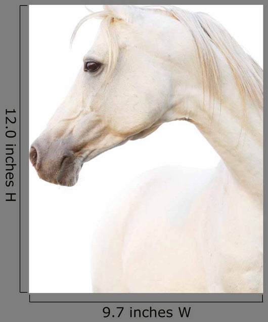White Horse Wall Decal