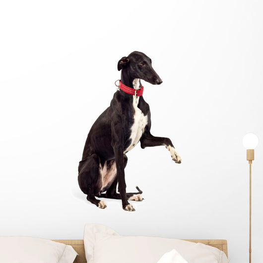 Greyhound Dog Wall Decal