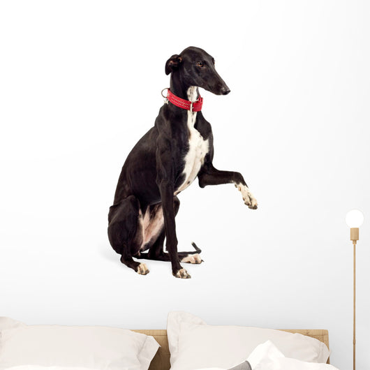 Greyhound Dog Wall Decal