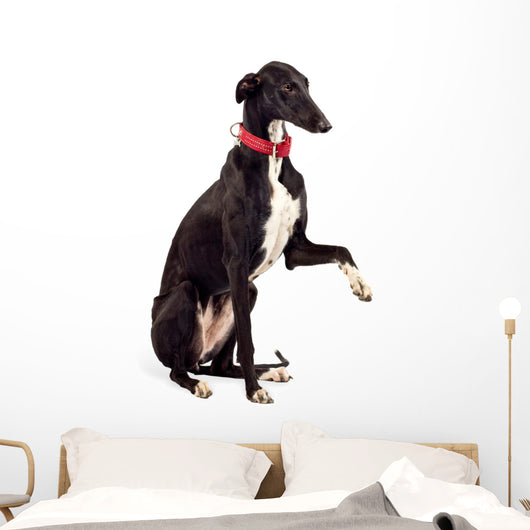 Greyhound Dog Wall Decal