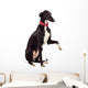 Greyhound Dog Wall Decal