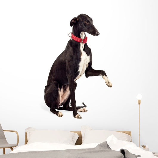 Greyhound Dog Wall Decal