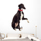 Greyhound Dog Wall Decal