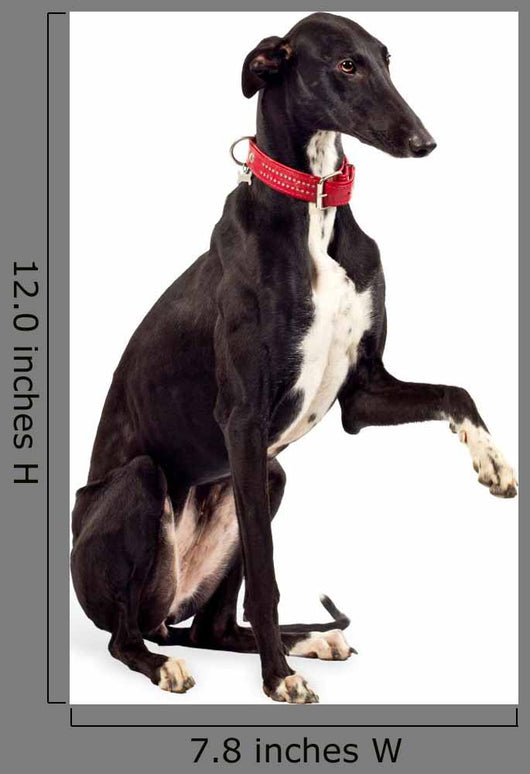 Greyhound Dog Wall Decal