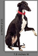 Greyhound Dog Wall Decal