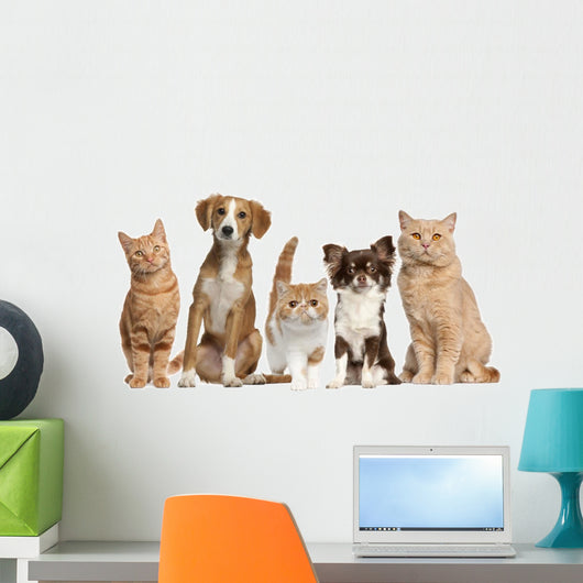 Cats And Dogs Wall Decal