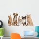 Cats And Dogs Wall Decal
