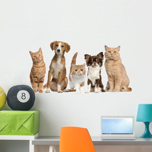 Cats And Dogs Wall Decal