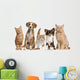 Cats And Dogs Wall Decal