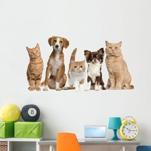 Cats And Dogs Wall Decal