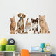 Cats And Dogs Wall Decal