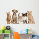 Cats And Dogs Wall Decal