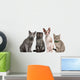 Group Cats Sitting Front Wall Decal