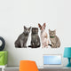 Group Cats Sitting Front Wall Decal