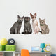 Group Cats Sitting Front Wall Decal
