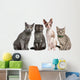 Group Cats Sitting Front Wall Decal