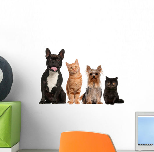 Group of Small Cats And Dogs Wall Decal