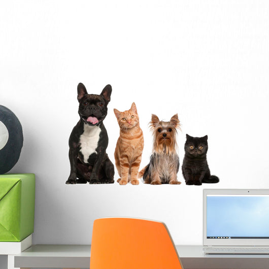 Group of Small Cats And Dogs Wall Decal