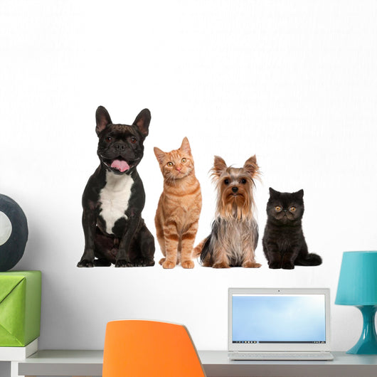 Group of Small Cats And Dogs Wall Decal
