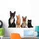 Group of Small Cats And Dogs Wall Decal