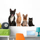 Group of Small Cats And Dogs Wall Decal