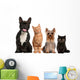 Group of Small Cats And Dogs Wall Decal