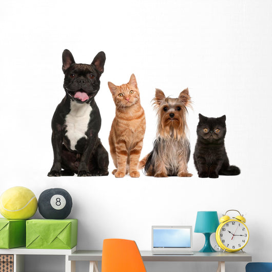 Group of Small Cats And Dogs Wall Decal